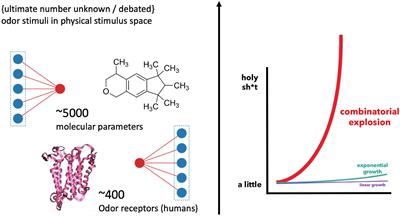 More than meets the AI: The possibilities and limits of machine learning in olfaction